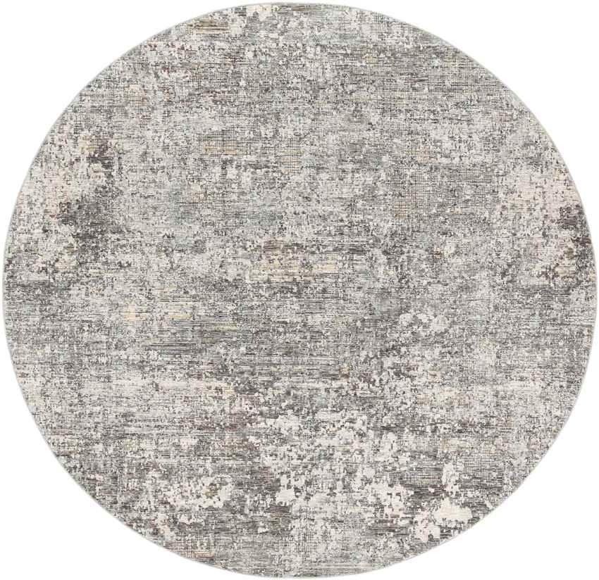 Angers Modern Medium Gray Area Rug