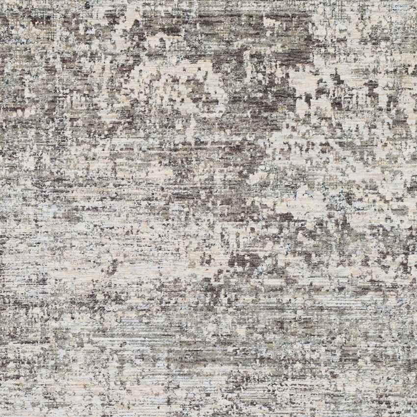 Angers Modern Medium Gray Area Rug