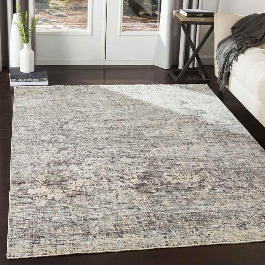 Angers Modern Medium Gray Area Rug