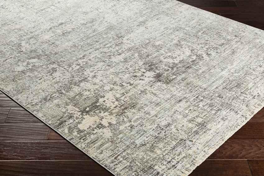 Angers Modern Medium Gray Area Rug