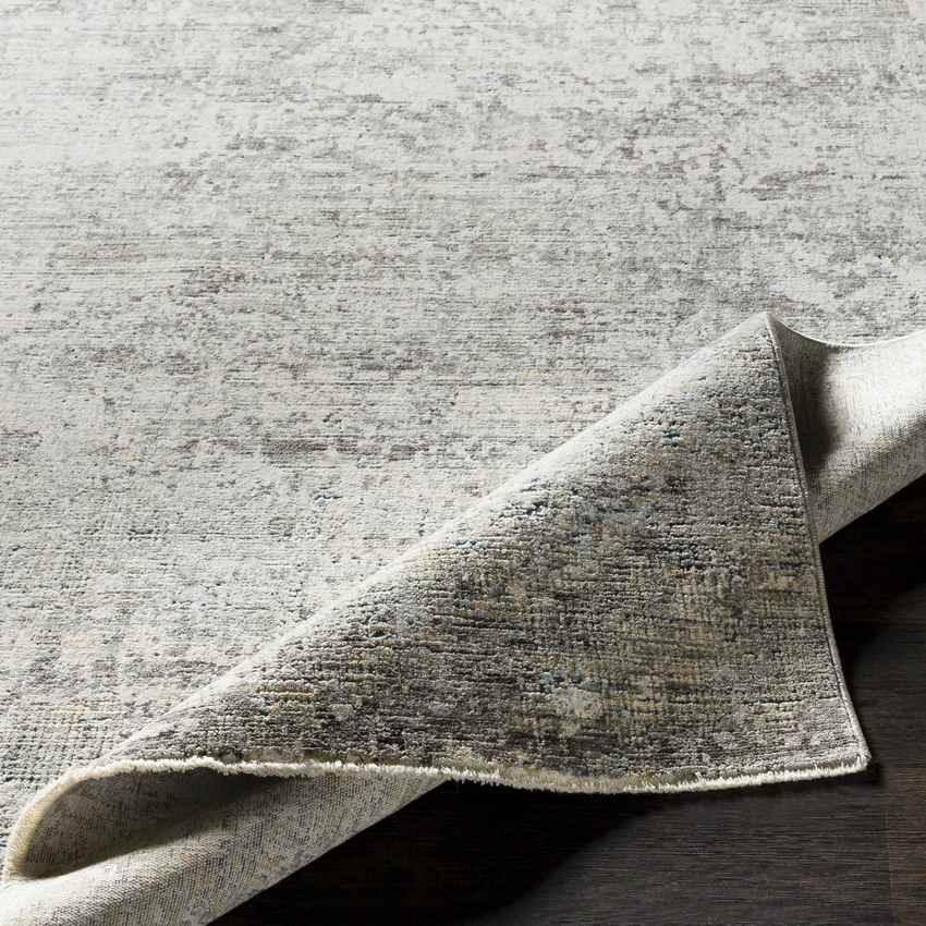 Angers Modern Medium Gray Area Rug