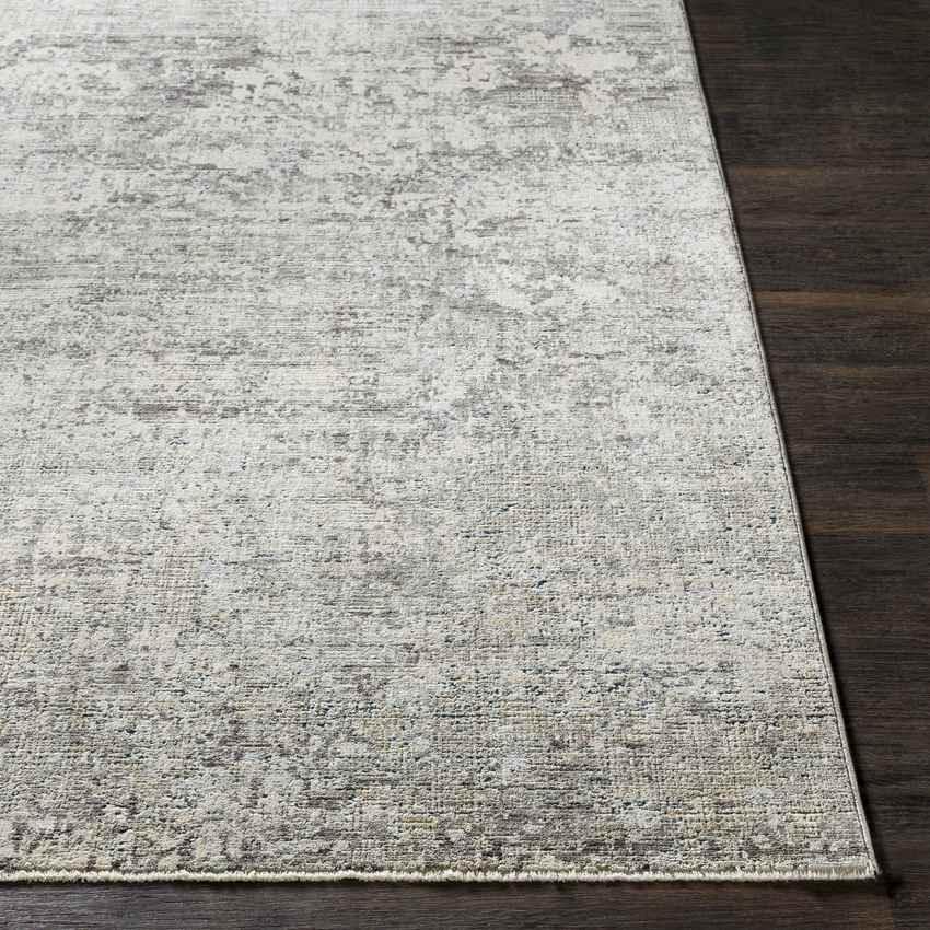 Angers Modern Medium Gray Area Rug