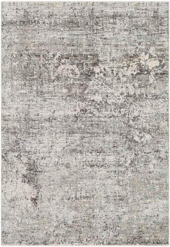 Angers Modern Medium Gray Area Rug