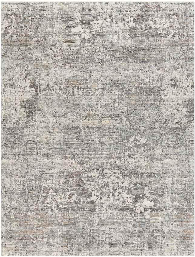 Angers Modern Medium Gray Area Rug