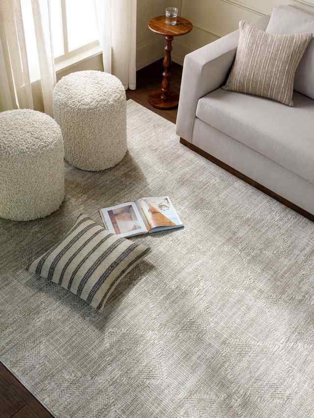 Anisah Traditional Brown/Light Gray Area Rug