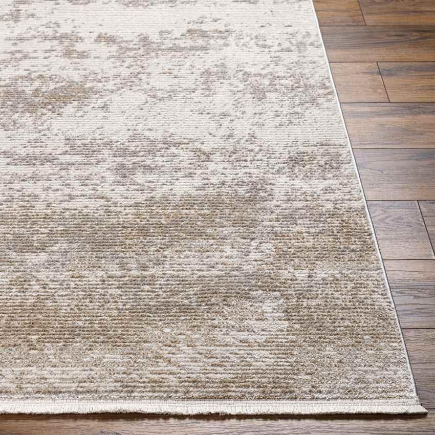 Anitra Modern Dark Brown Area Rug