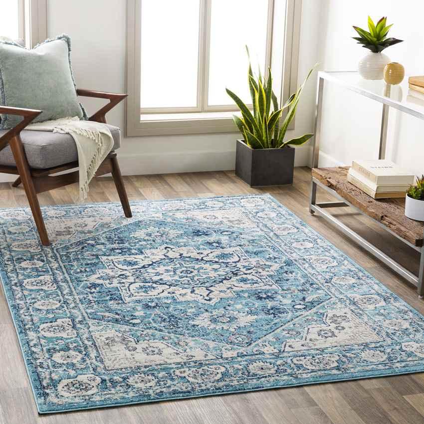 Anjum Traditional Denim Area Rug