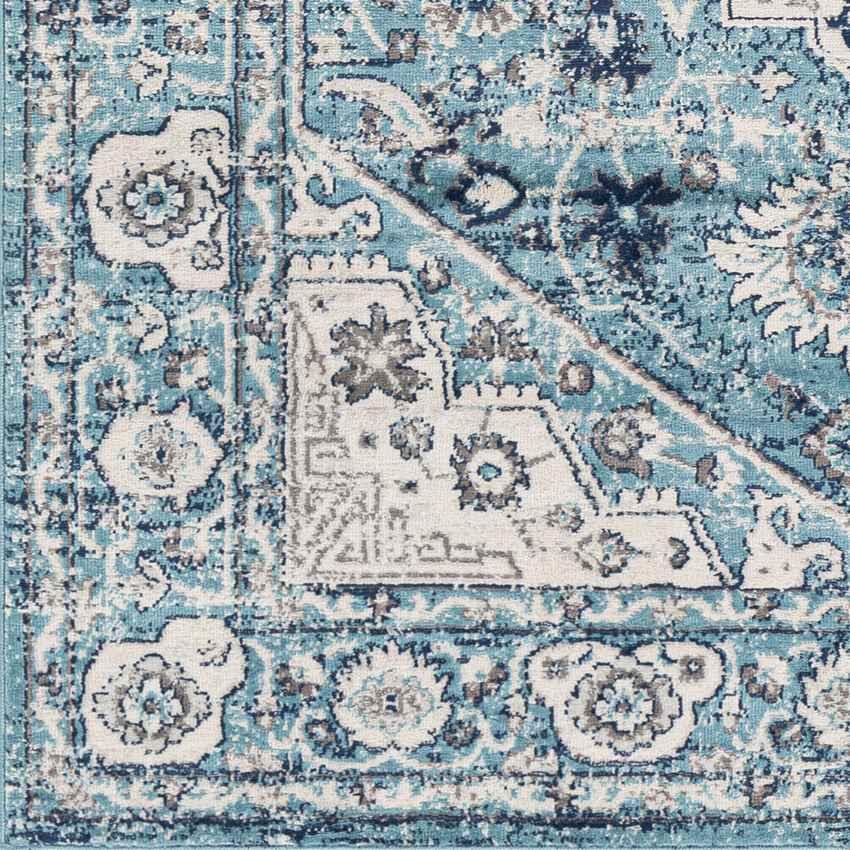 Anjum Traditional Denim Area Rug