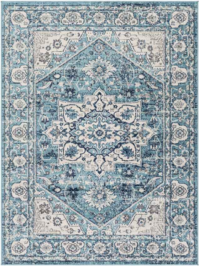 Anjum Traditional Denim Area Rug