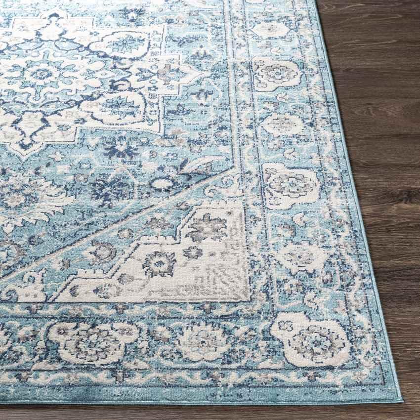 Anjum Traditional Denim Area Rug