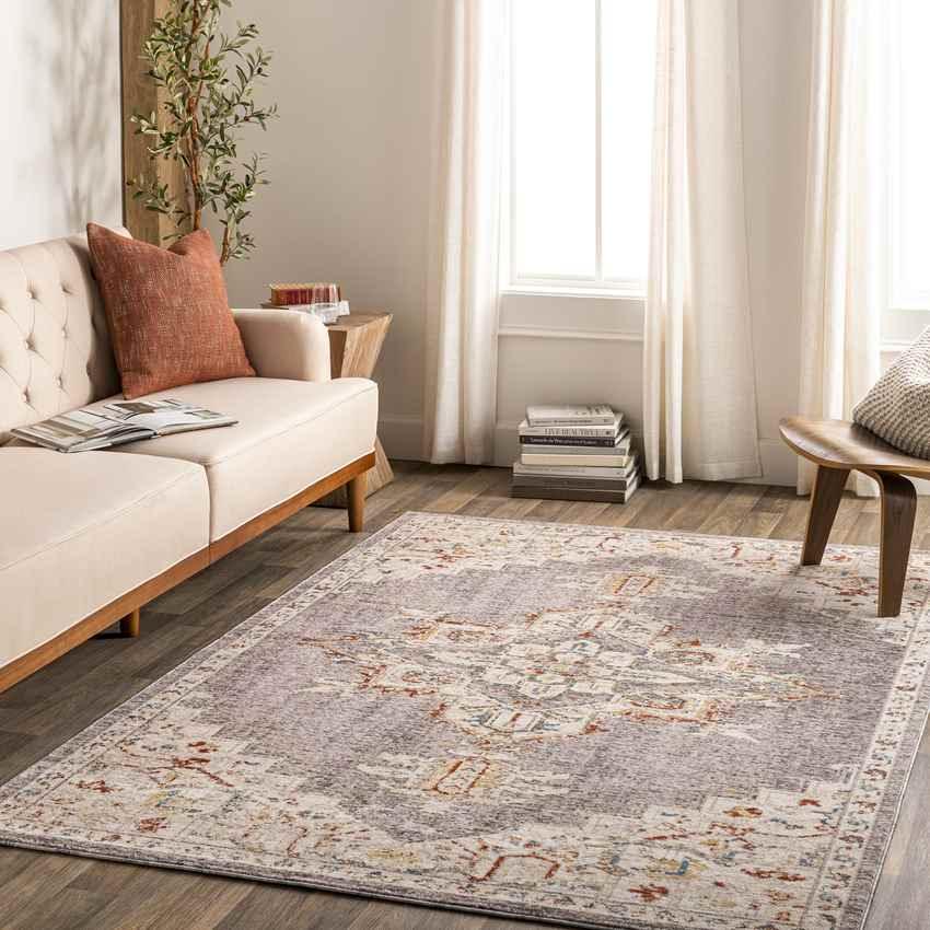 Ankeny Traditional Gray Area Rug