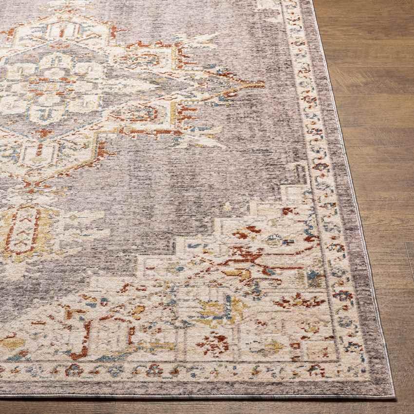 Ankeny Traditional Gray Area Rug