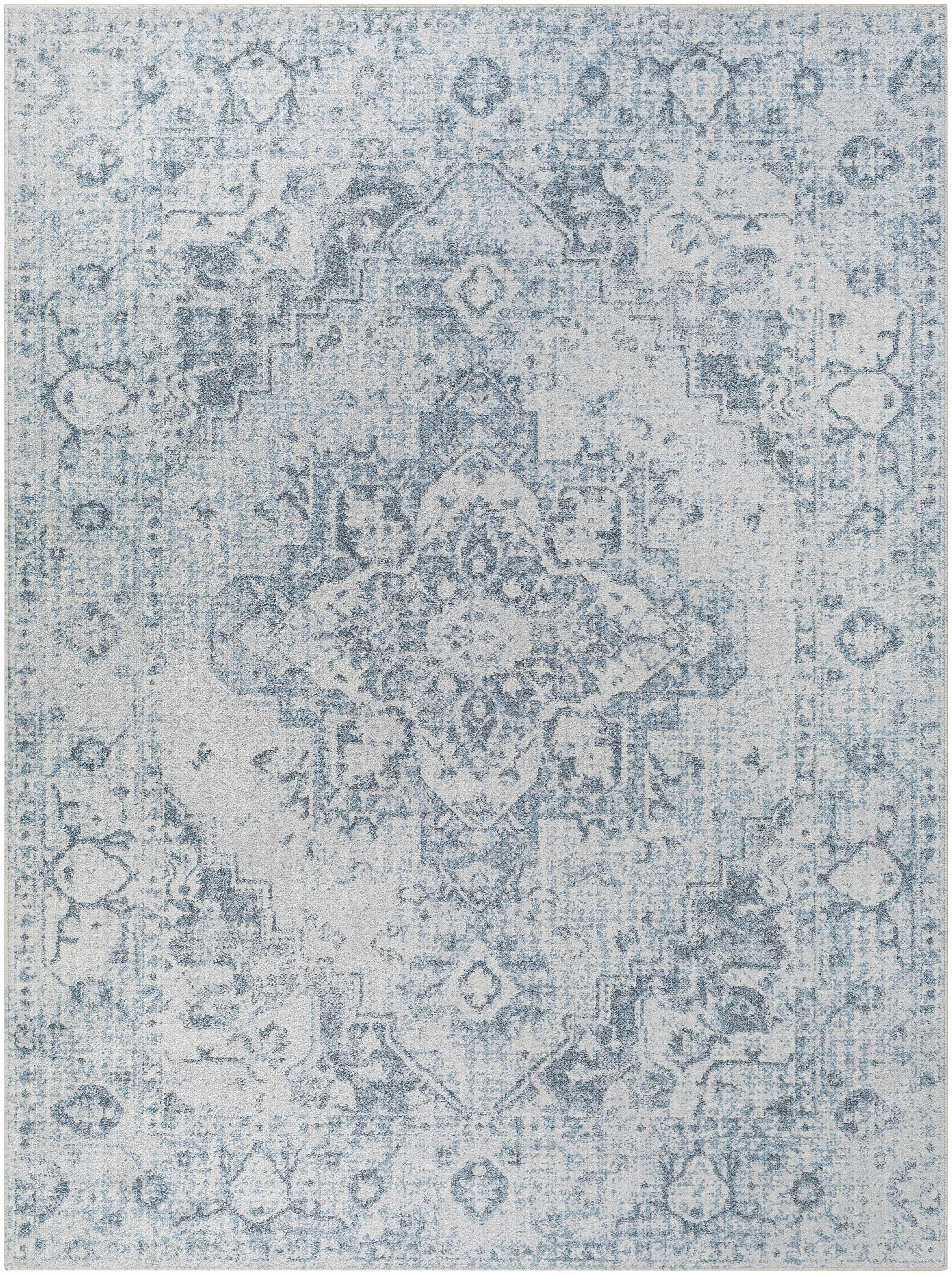 Ankti Aqua Washable Area Rug