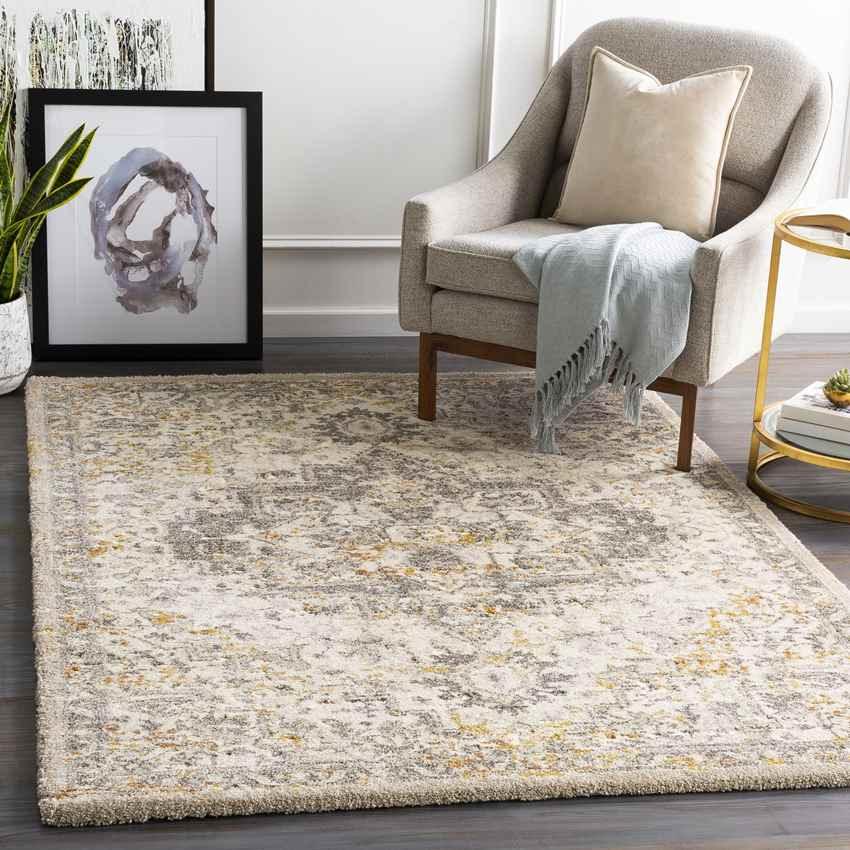 Annen Traditional Metallic Champagne Area Rug