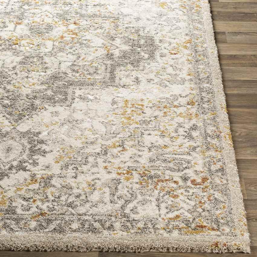 Annen Traditional Metallic Champagne Area Rug