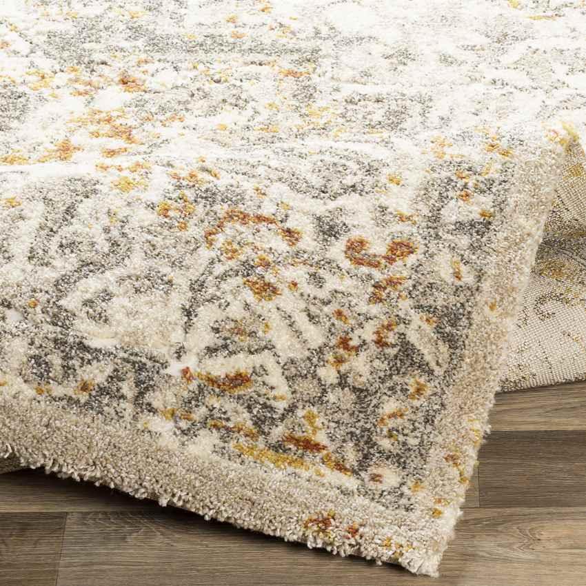 Annen Traditional Metallic Champagne Area Rug