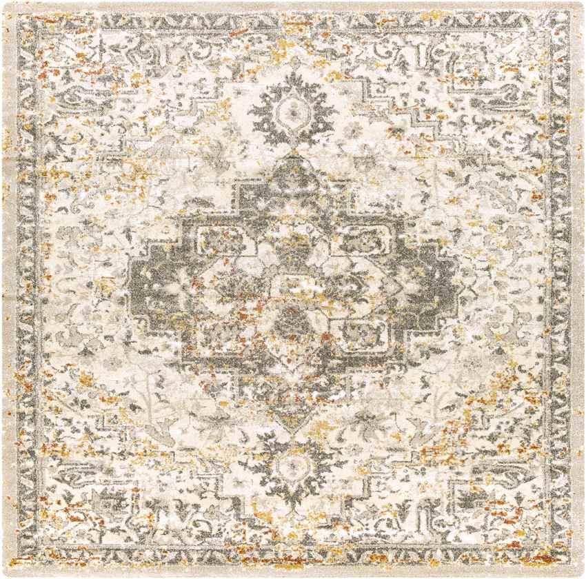 Annen Traditional Metallic Champagne Area Rug