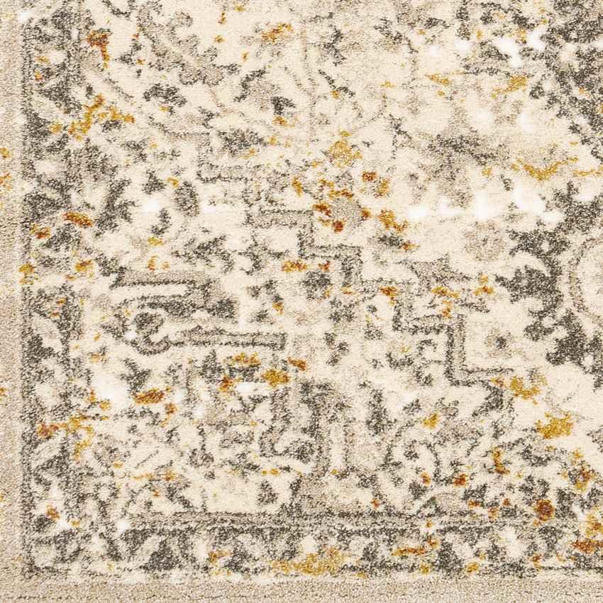 Annen Traditional Metallic Champagne Area Rug