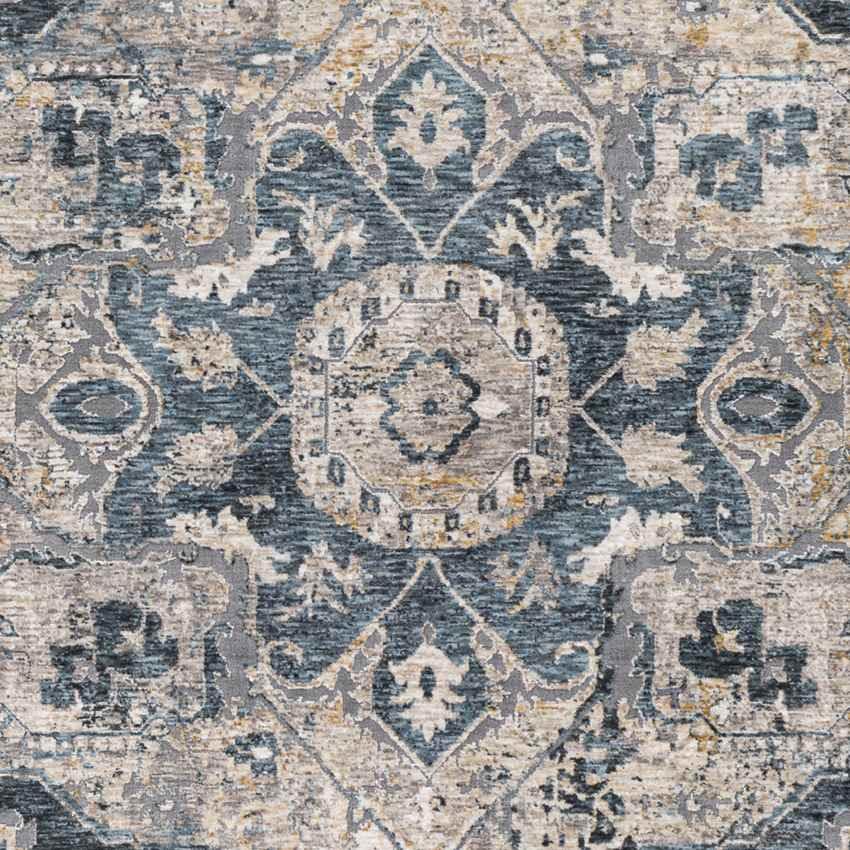 Anneville Traditional Charcoal Area Rug