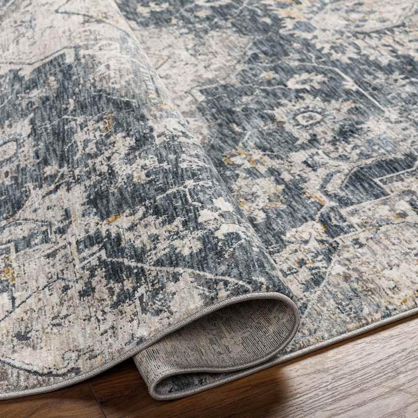 Anneville Traditional Charcoal Area Rug