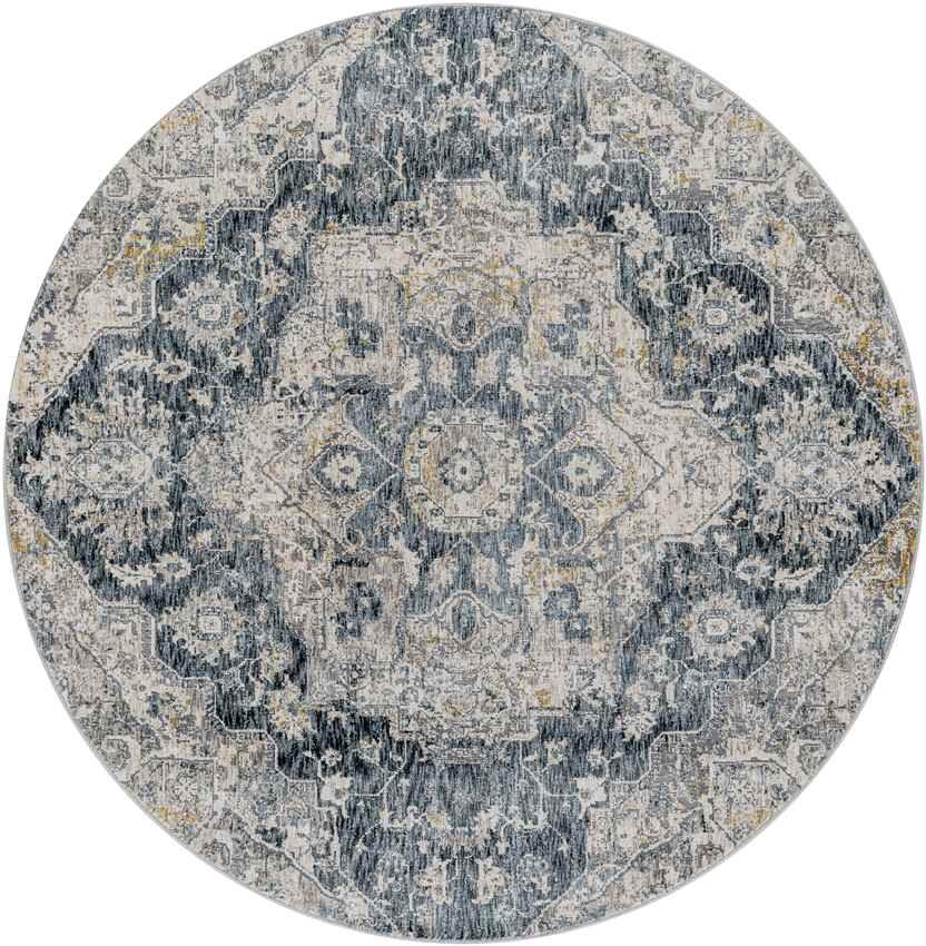 Anneville Traditional Charcoal Area Rug