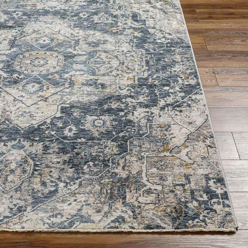 Anneville Traditional Charcoal Area Rug