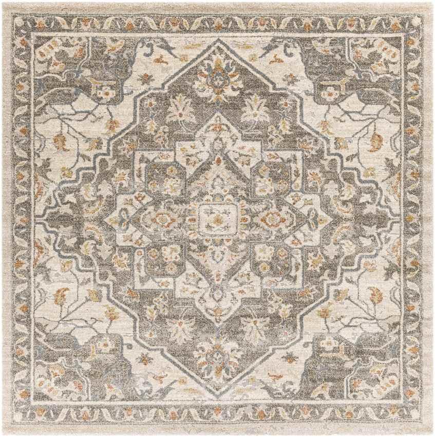 Anreep Traditional Dark Brown Area Rug