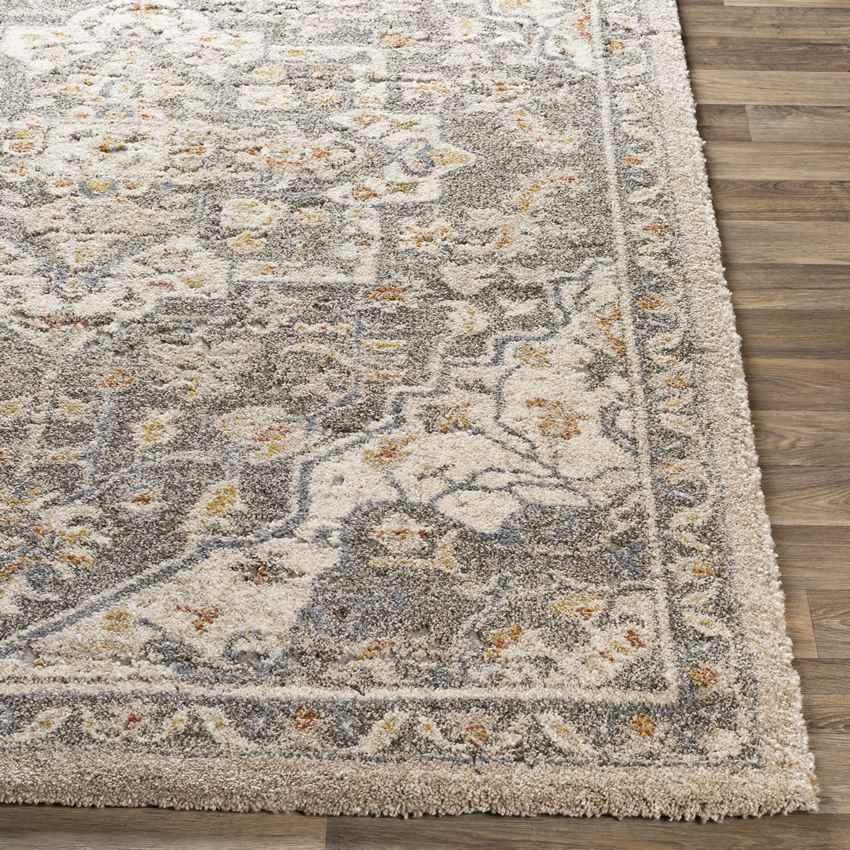 Anreep Traditional Dark Brown Area Rug