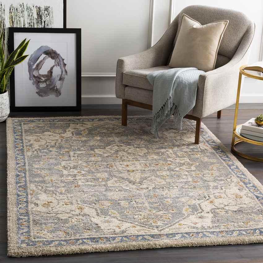 Anreep Traditional Denim Area Rug