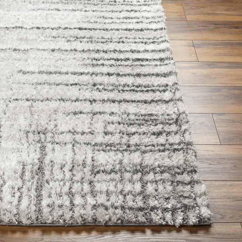 Anrew Modern Beige/Black Area Rug