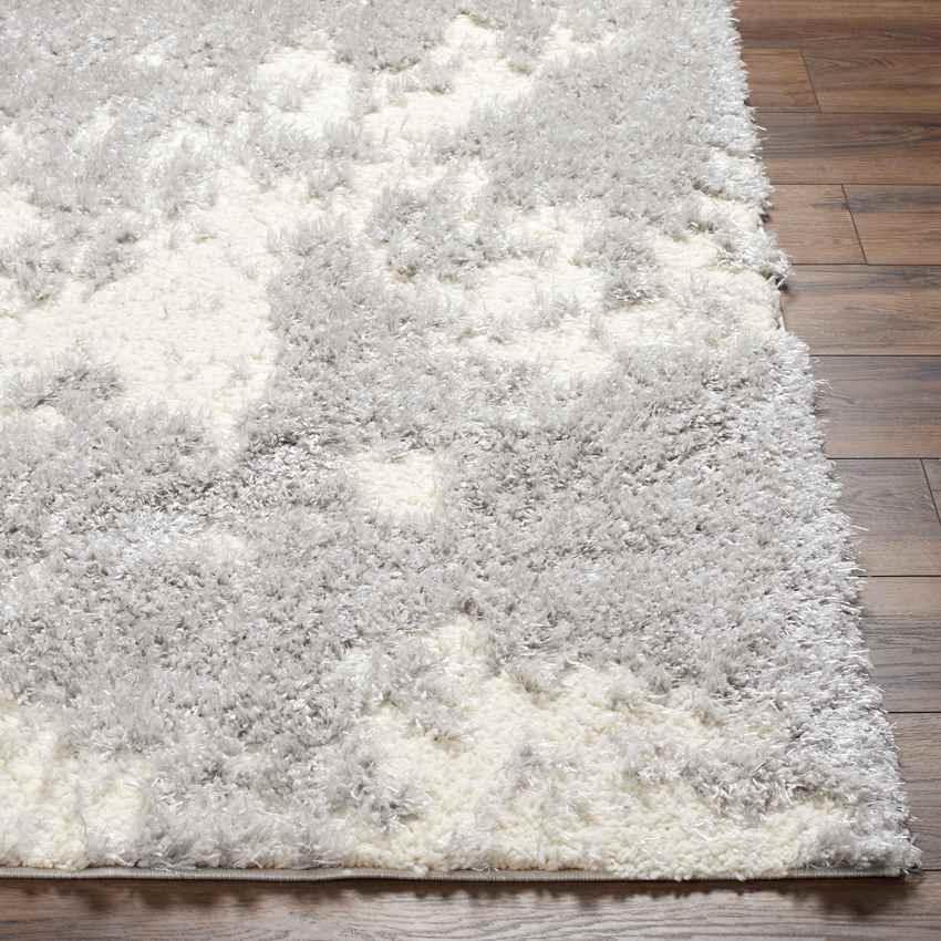 Antero Modern Medium Gray/Cream Area Rug