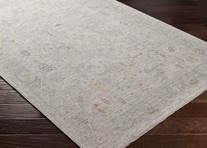 Anthony Traditional Beige Area Rug