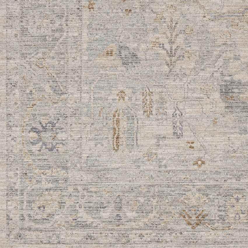 Anthony Traditional Beige Area Rug