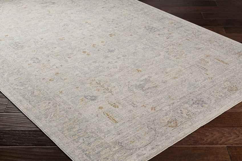 Anthony Traditional Beige Area Rug