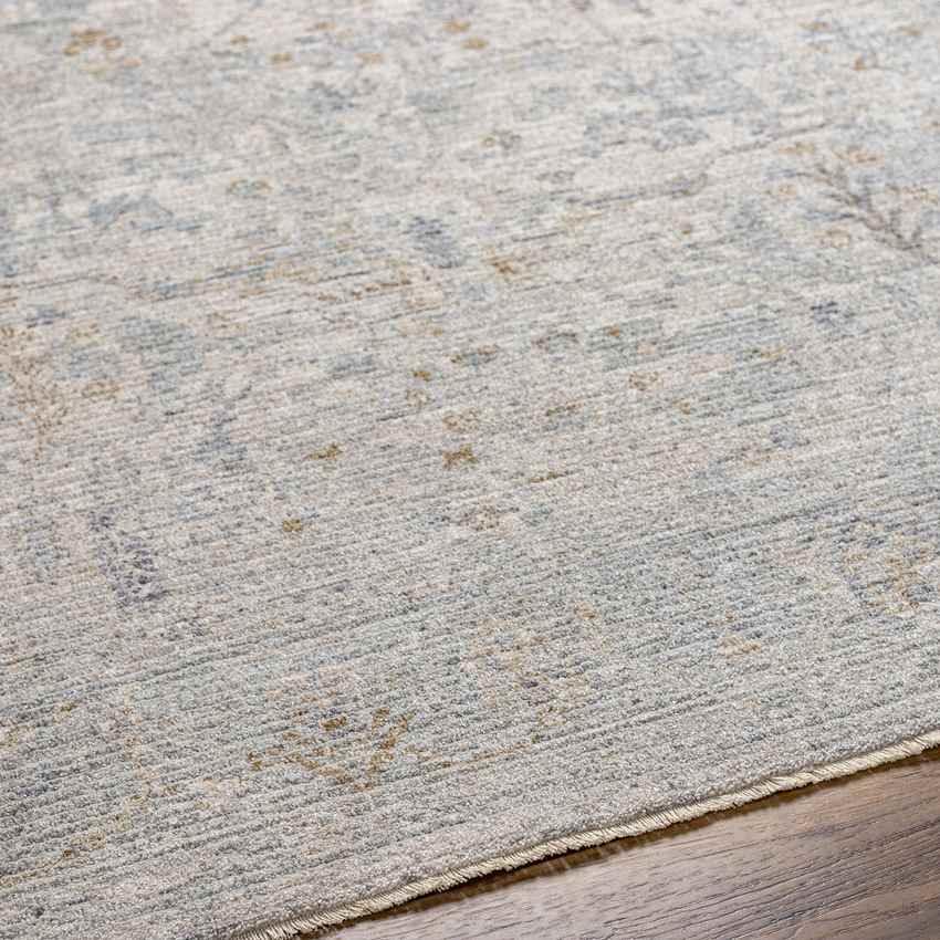 Anthony Traditional Beige Area Rug