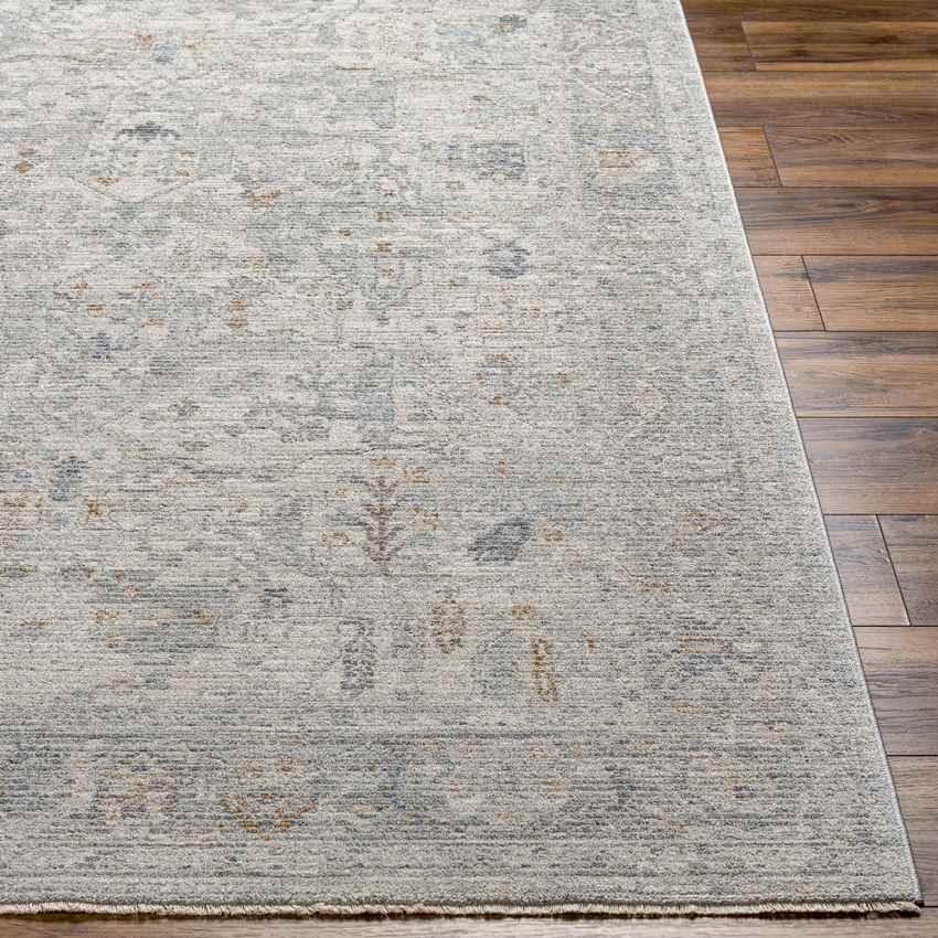 Anthony Traditional Beige Area Rug