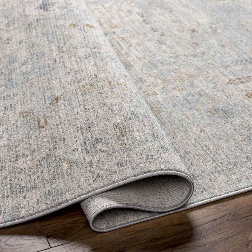 Anthony Traditional Beige Area Rug