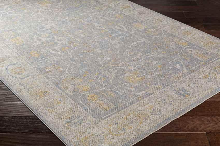 Anthony Traditional Pale Orange Area Rug