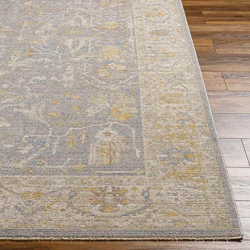 Anthony Traditional Pale Orange Area Rug