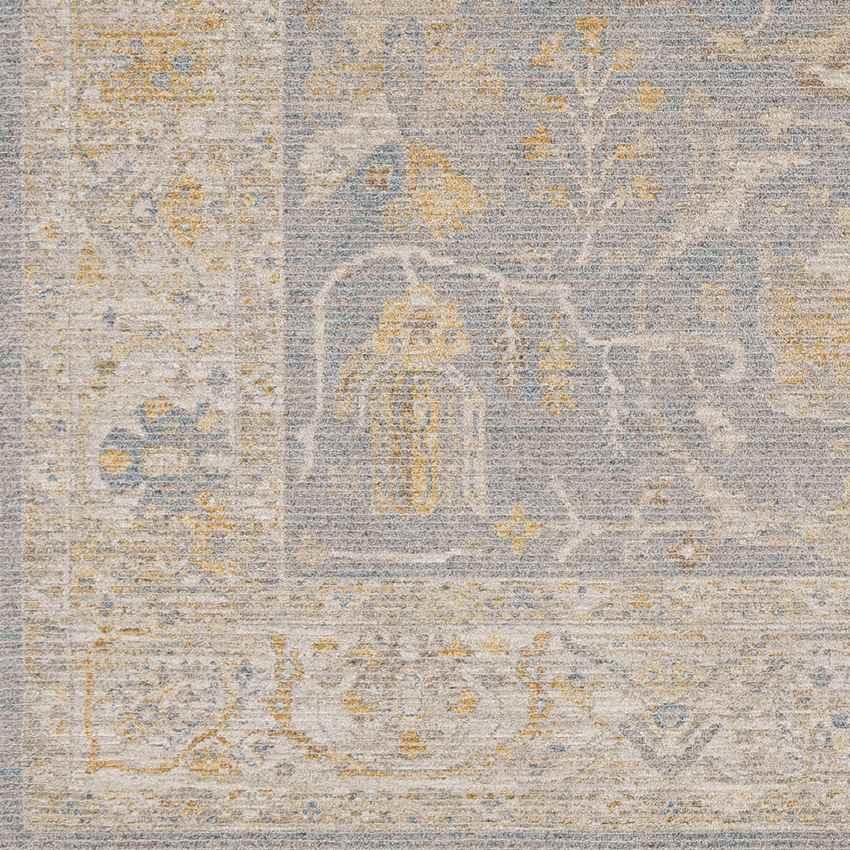 Anthony Traditional Pale Orange Area Rug