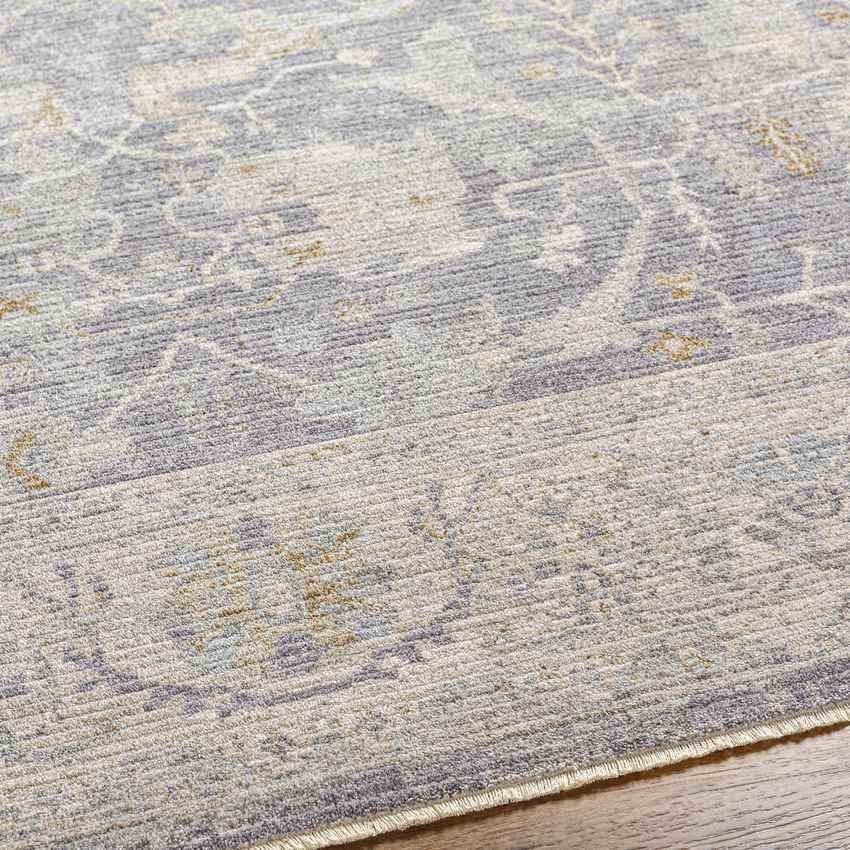 Anthony Traditional Taupe Area Rug