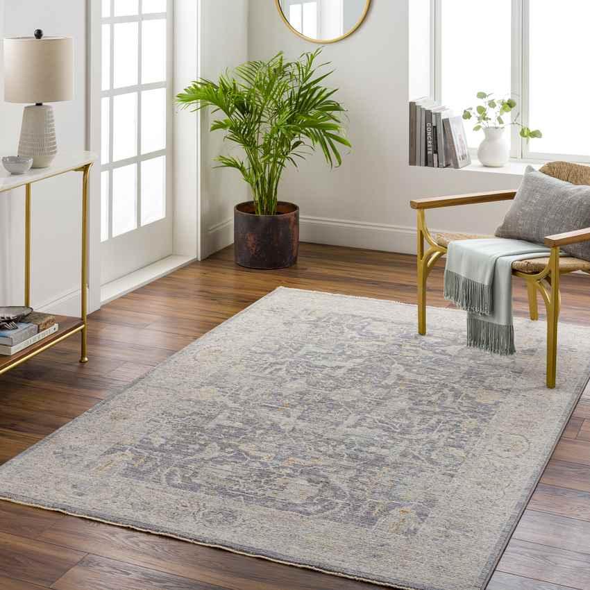 Anthony Traditional Taupe Area Rug