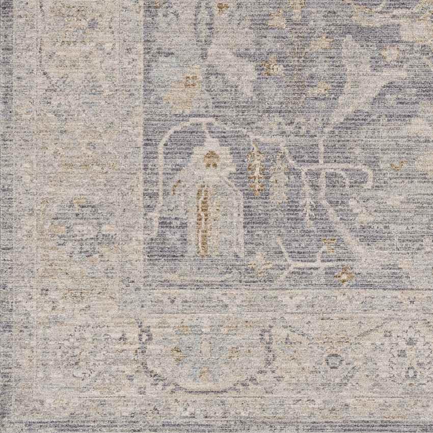 Anthony Traditional Taupe Area Rug