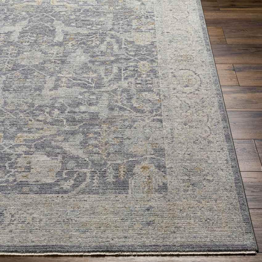 Anthony Traditional Taupe Area Rug