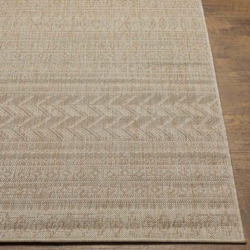 Antibes Global Brown Area Rug