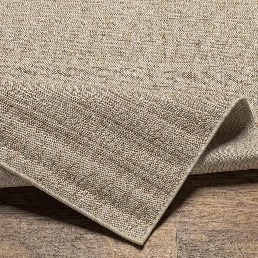 Antibes Global Brown Area Rug