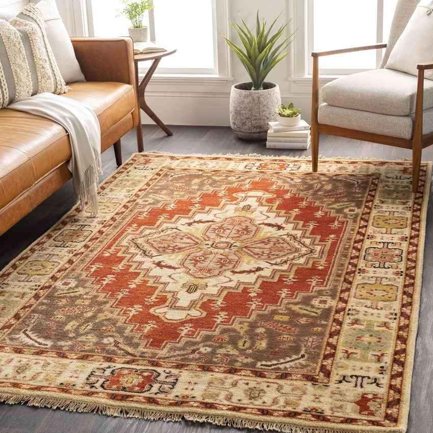 Antony Traditional Clay Area Rug