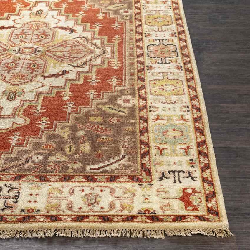 Antony Traditional Clay Area Rug