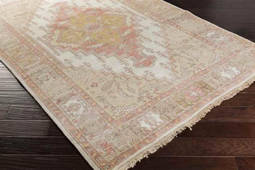 Antony Traditional Ivory Area Rug