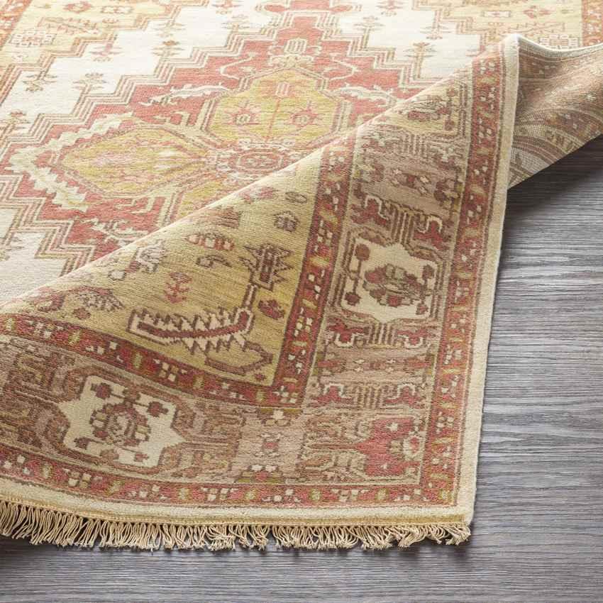 Antony Traditional Ivory Area Rug